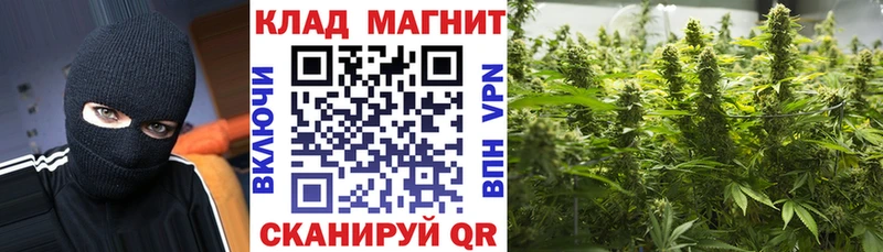 Купить наркотики цена Судак Alpha PVP  Галлюциногенные грибы  Гашиш  Меф 