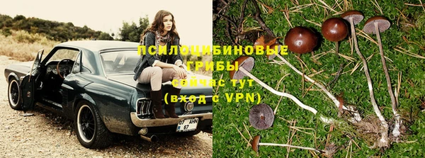 СК Заводоуковск