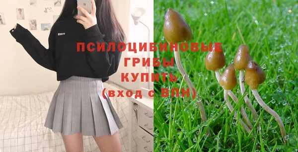 молекула духа Заволжье