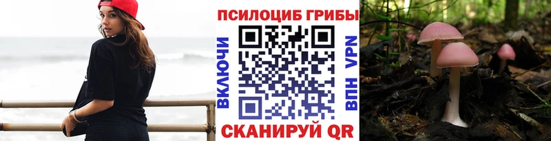 как найти закладки  darknet Telegram  Псилоцибиновые грибы Magic Shrooms  Судак 